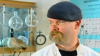 Scuba Diver and Car Capers