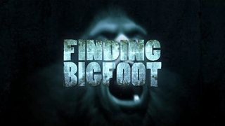 Disco Bigfoot