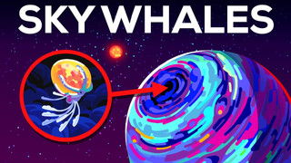 Alien Whales On Planet Nimbus - What Aliens Might Look Like