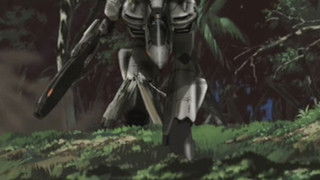 The Stars on the Earth