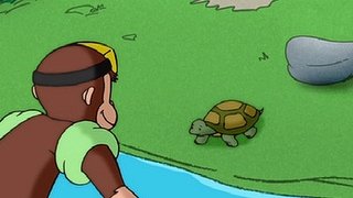 Curious George Takes a Dive