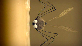 A candlelight christmas