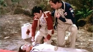 The Immunity Syndrome