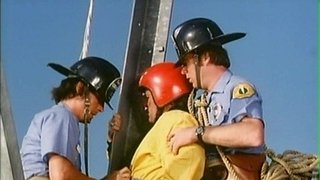 The Inspection