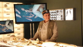 The Blood from the Stones