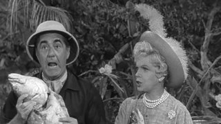 Birds Gotta Fly, Fish Gotta Talk