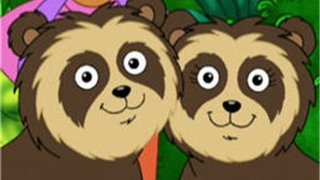 Chito and Rita the Spectacled Bears