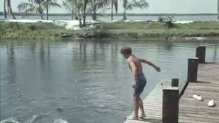 Flipper and the Mermaid