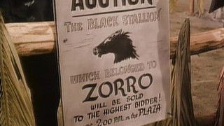 Zorro Springs a Trap