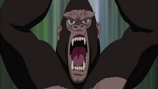 Land Ahoy! Is this the Paradise Island?