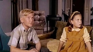 A Car Named Chrysanthemum