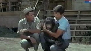 The Elephant Raid (Part 1)