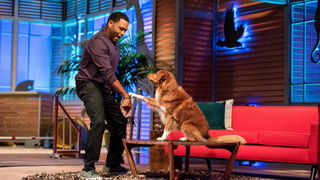 George Lopez; Suzy Nakamura; Agility Dogs