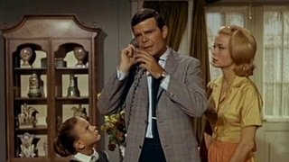 Who's in Charge Here?