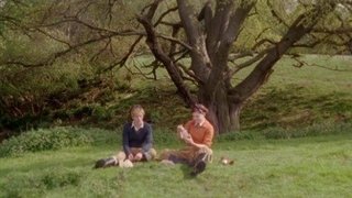 They Fought in the Fields