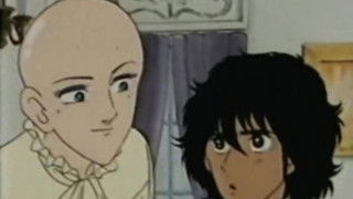 White-eyes Discovery Story