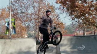 The Daredevil in the Mold