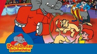 The Circus Lions