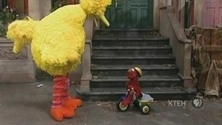 Big Bird Breaks Elmo's Tricycle