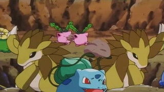 Bulbasaur... the Ambassador!