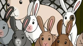 Curious George's Bunny Hunt