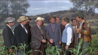 You and Your Big Shrunken Head