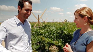 Summer Evening Party