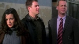 Tony und ziva Dating im echten Leben