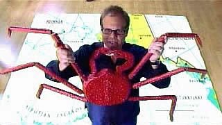 Crustacean Nation III: Feeling Crabby