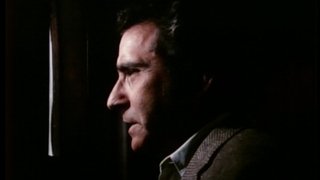 The Hit Man