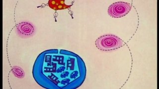 Episode 19