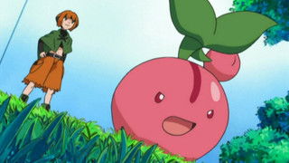 The Grass Menagerie!