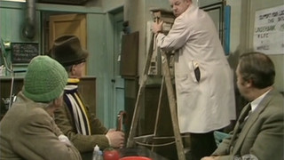 Getting On Sydney's Wire