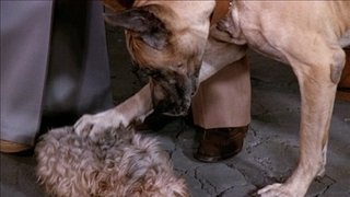 The Decision/Poor Little Rich Girl/Love Me, Love My Dog