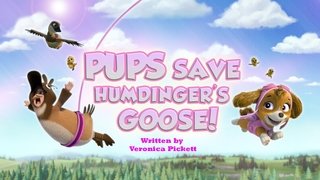 Pups Save Humdinger's Goose!