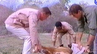 Leopard of Madla Gorge