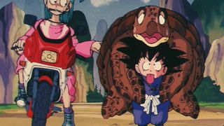 The Nimbus Cloud of Roshi