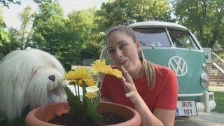 Episode 43