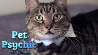 Mr. Puddles
