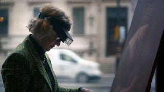 Portrait of a Lady - in Pittsburgh?