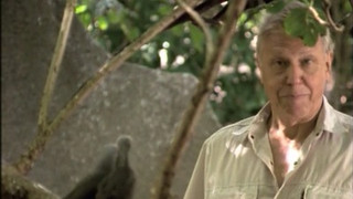 The Problems of Parenthood