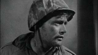 Rear Echelon Commandos