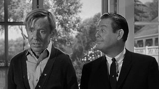 Hazel and the Gardener