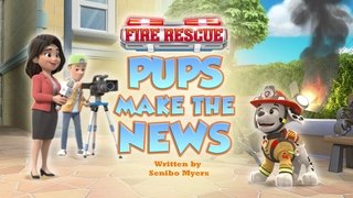 Fire Rescue: Pups Make the News
