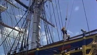 Flipper And The Bounty