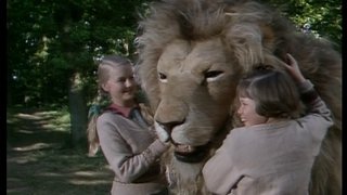 The Lion, the Witch and the Wardrobe (6)