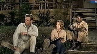 The Elephant Thieves