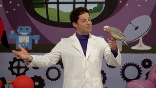 Lachy's Bird Poem