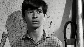 The Old Man Picked a Lemon