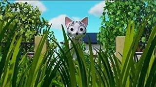 Chi And The Secret Thicket